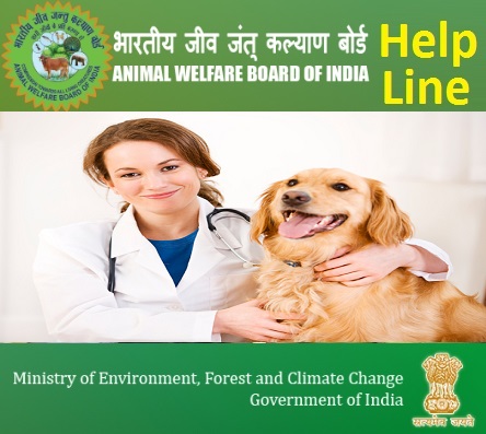 India-Animal-Care-Contact-Number