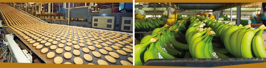 Chittoor-Agriculture-Highlights