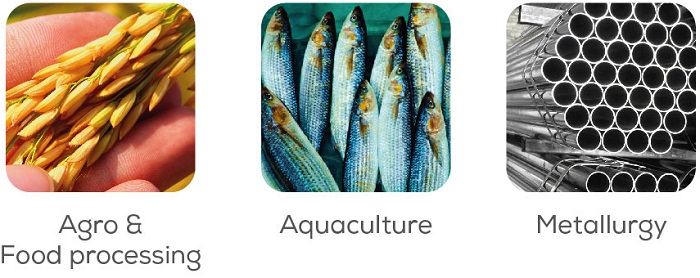 Focus-Sectors-in-Vizianagaram