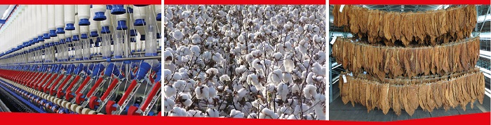 Guntur-Natural Resource Endowment