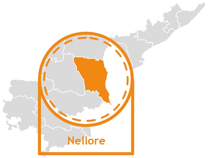 Nellore-Key-Statistics