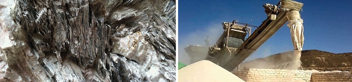 Nellore-Natural-Resource-Endowment