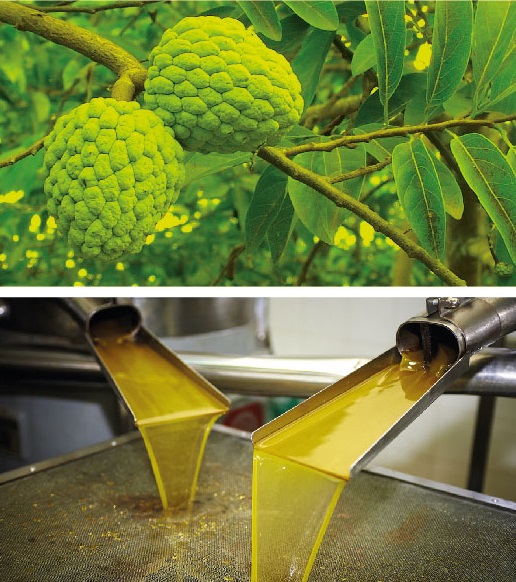 SRIKAKULAM-Agriculture-and-Industry-Highlights