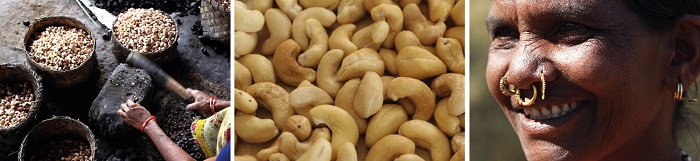 SRIKAKULAM-Strong-Cashew-processing-industries