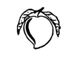 Pattali-Makkal-Katchi